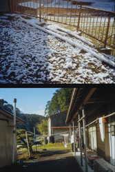 作品画像：