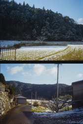 作品画像：