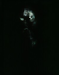 作品画像：