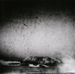 作品画像：