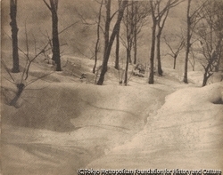 （雪景色）