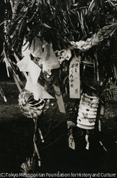 作品画像：
