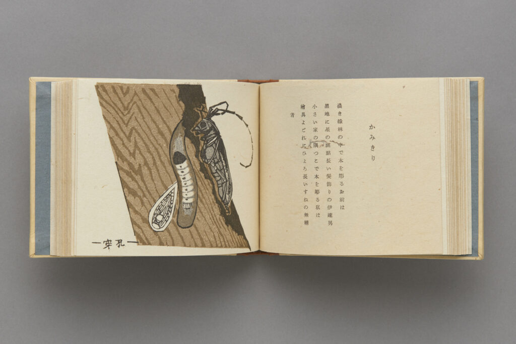 作品画像：『博物譜』（15/28）