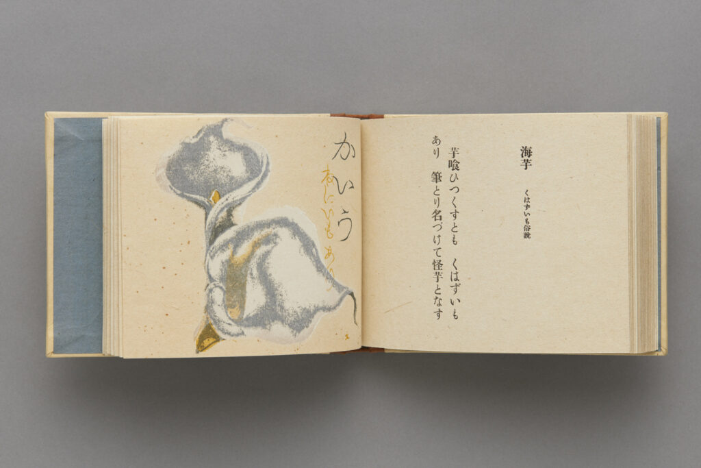 作品画像：『博物譜』（22/28）