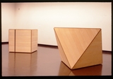 作品画像：［斎藤義重作品写真集：ファイル 1］ 29/127