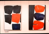 作品画像：［斎藤義重作品写真集：ファイル 1］ 77/127