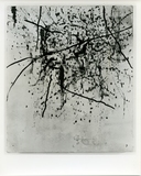 作品画像：［斎藤義重作品写真集：ファイル 3］ 1/53
