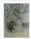 作品画像：［斎藤義重作品写真集：ファイル 3］ 5/53