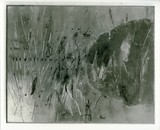 作品画像：［斎藤義重作品写真集：ファイル 3］ 13/53