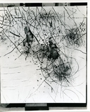 作品画像：［斎藤義重作品写真集：ファイル 3］ 26/53