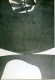 作品画像：［斎藤義重作品写真集：ファイル 3］ 42/53