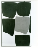 作品画像：［斎藤義重作品写真集：ファイル 3］ 46/53