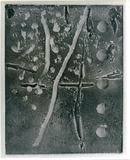 作品画像：［斎藤義重作品写真集：ファイル 4］ 3/35