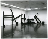 ［斎藤義重作品写真集：ファイル 7］ 37/42