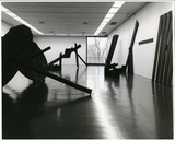 ［斎藤義重作品写真集：ファイル 8］ 17/30