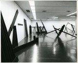［斎藤義重作品写真集：ファイル 8］ 18/30
