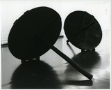 ［斎藤義重作品写真集：ファイル 8］ 25/30