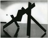 ［斎藤義重作品写真集：ファイル 8］ 26/30