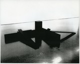 ［斎藤義重作品写真集：ファイル 8］ 27/30