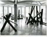 ［斎藤義重作品写真集：ファイル 9］ 3/45