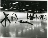 ［斎藤義重作品写真集：ファイル 9］ 33/45