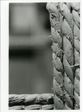 作品画像：［小清水漸作品写真集 1］（13/67）