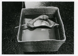 作品画像：［小清水漸作品写真集 2］（16/74）