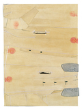 驚くべき獣たち（アザラシの毛皮）
