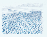 作品画像：リトグラフの水（線、クレヨン）