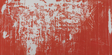 作品画像：PRUNUS SPACHIANA Ⅰ