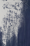 作品画像：PRUNUS SPACHIANA Ⅲ