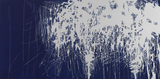 作品画像：PRUNUS SPACHIANA Ⅳ
