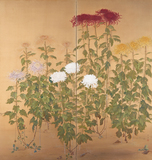 作品画像：菊花図