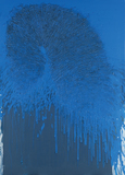 作品画像：海　暖流  1