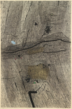 作品画像：磯（黒）