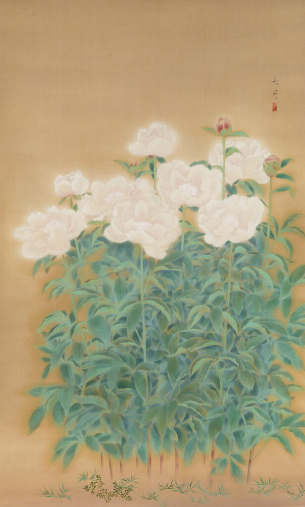 作品画像：芍薬