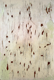 作品画像：作品（穴）