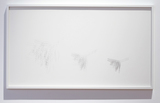作品画像：track and trace (dragon fly)