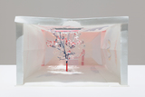 作品画像：Notice – Forest: Madison Avenue
