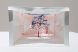 作品画像：Notice – Forest: Madison Avenue