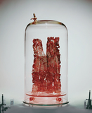 作品画像：「約束の日に」-1　東京都庁舎