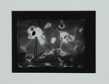作品画像：TYO – No.213P　江東区有明2　有明南埠頭公園から10号地方向