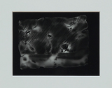 作品画像：TYO – No.221P　江戸川区葛西臨海公園よりディズニーランド