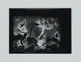 作品画像：TYO – No.225P　千代田区永田町１（憲政記念公園下、桜川濠寄り）