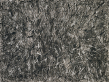 作品画像：無題