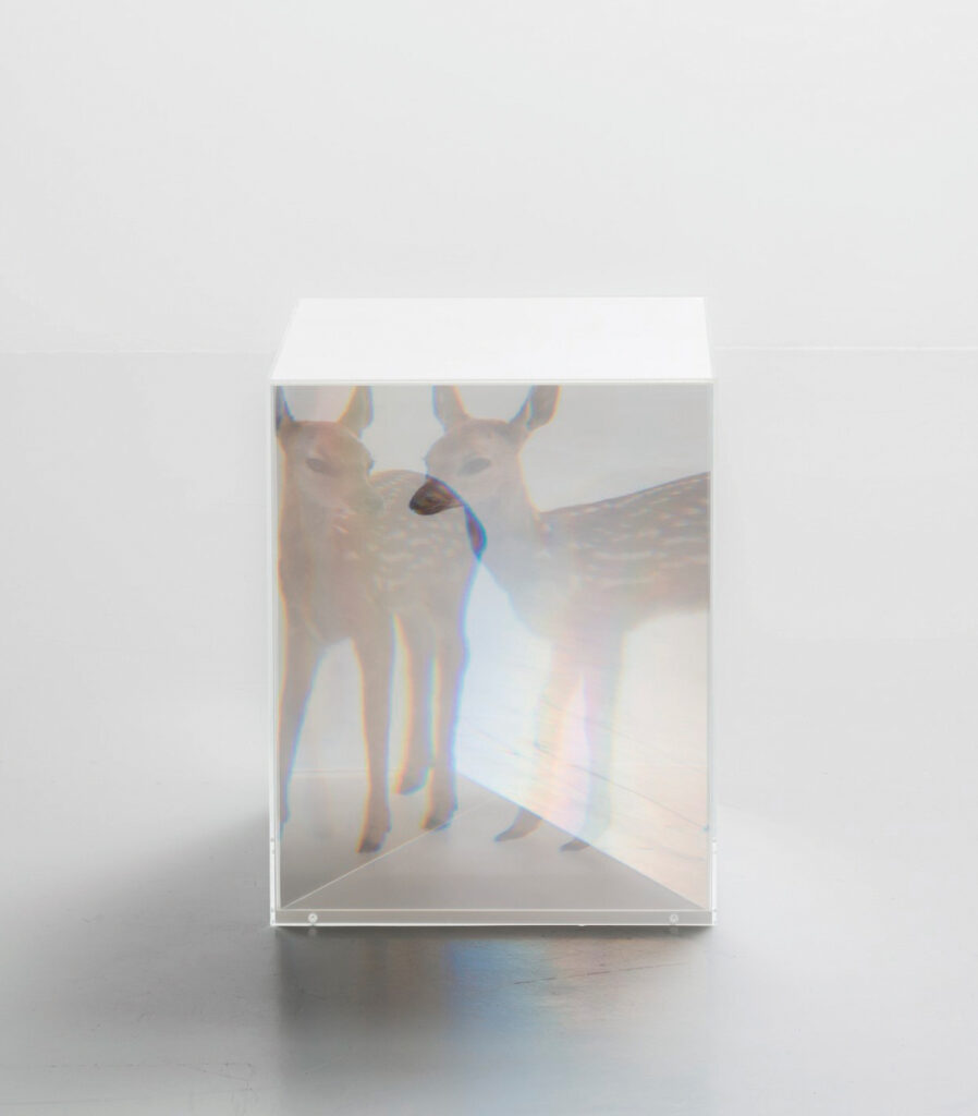作品画像：PixCell-Bambi #3