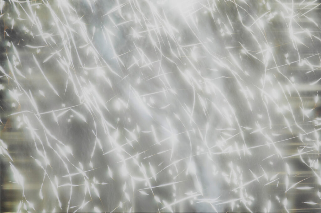 作品画像：Light of