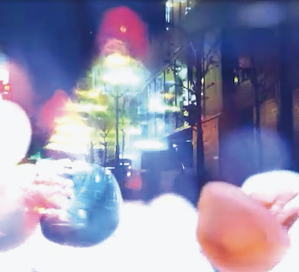 作品画像：TOKYO NOIR Ⅲ