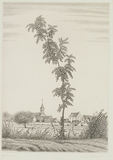 作品画像：樹と村の小寺院