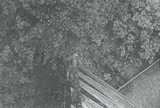 作品画像：S – “Loorenkopf, Zürich”